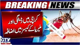 Dengue and Malaria Cases Surge in Karachi | Latest Health Update | Breaking News