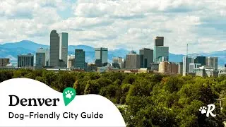 Denver Dog-Friendly Guide: Best Pet-Friendly Restaurants, Bars & Activities | Rover