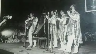 Pájaro choguy - Antonio Calvario y Los Guaireños desde Portugal