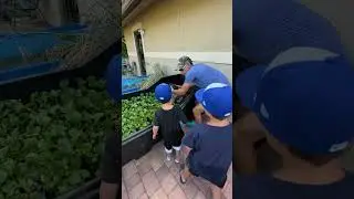 CATCH A TURTLE WITH A SUBSCRIBER