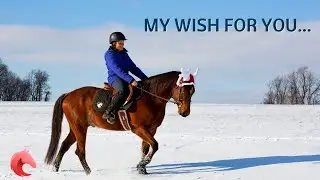 My Wish for You... Happy Holidays from HorseClass!