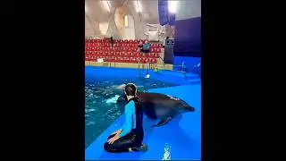 #dolphinarium #odessa  КрасОтка  Вика💃 -укротительница  дельфинов🐬🐬🐬
