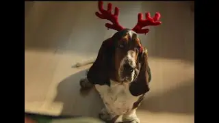 Coles Xmas ad 2025
