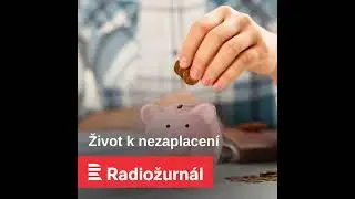Sloučit 4 příspěvky v jeden je správný krok, ulehčí to žadatelům i úřadům práce, hodnotí sociolog