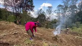2024 First Labour Of The Year To *JESUS* & Church | Khuzama Nagaland 🍒❤️