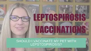 Should I Vaccinate My Dog with the Leptospirosis Vaccine? | Ask Dr. Angie