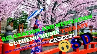 GUZHENG RELAXING MUSIC FROM JAPANESE ( MUSIC 8D )