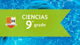 CIEN 90 S2 P4 FASE 2 LEYES DE MENDEL Y REPRODUCCI&Oacute;N SEXUAL Y ASEXUAL