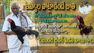 Legendary Breeder Pedana Sai Gari Interview Part.1 #eskurifarms