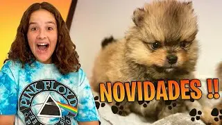 NOVIDADES DO MEU CACHORRINHO NOVO SIMBA!