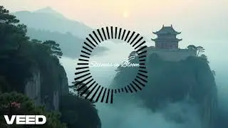 Stillness in Bloom