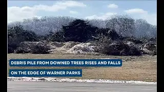 A Mountain of Storm Debris Piles Up in Warner Park