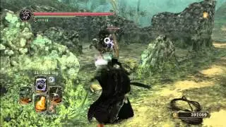 Dark Souls 2 Items - Lion Mage Set (Shaded Ruins)