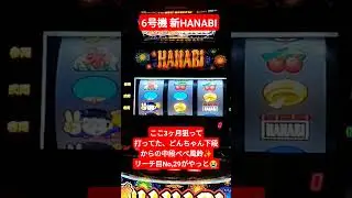 新ハナビ リーチ目No,29通称GODリプ#家スロ #新ハナビ #リーチ目コレクション
