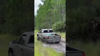Bog unit