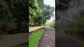 പാതയോരം ..#gramam #myvillage #kerala #india #canadamallu #hindi #tamil #us #uk #shajikalluvilavlogs