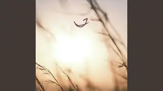 Soft Breeze