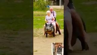 Lol 😂