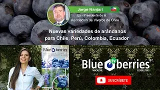 Nuevas variedades de arándanos para Chile, Perú, Colombia y Ecuador - Agricultural Seminars - 2020