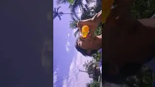 Guys জঙ্গল মাজে মাজে গৈআছো Guys long video #training #viral block 