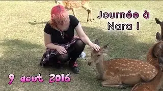 [Japon 19] Nara, la nature dans l'ancienne capitale !