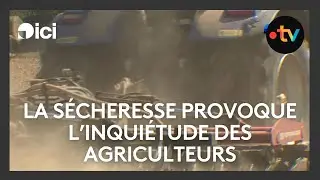 L'adaptation des agriculteurs face &agrave; la s&eacute;cheresse persistante dans le Nord