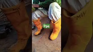 ppe#sefty#shoes#in the working🙂