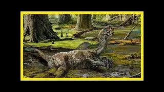 This &lsquo;muddy dragon&rsquo; may have met its end in a chinese slush pit