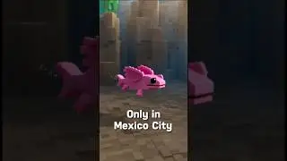The Real Life Pok&eacute;mon: Axolotl! 💖