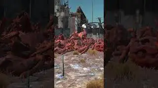 crab