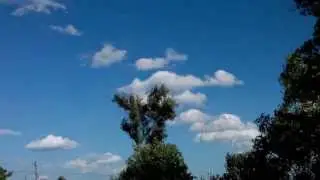 ionklochenco lapse it pro