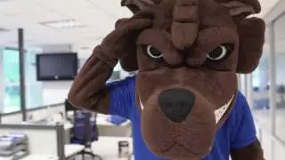 O melhor mascote do Brasil completa 14 Anos!