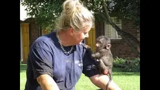 Prime Crew - Baboon rescue