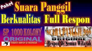 2 SUARA PANGGIL WALET  ORIGINAL RESPON FULL DAN AWET