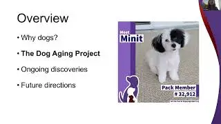 The Dog Aging Project