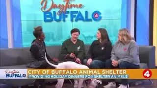 Daytime Buffalo:  Buffalo Barkery providing holiday dinners for shelter animals at CBAS