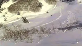 Free the Powder Ski Gloves Powder Calypso