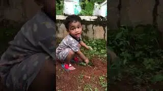 A Child&rsquo;s garden 🌱;a story of hope🫶🏻                                      Little Gardener Zay❤️