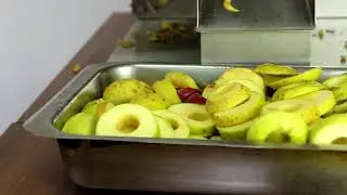 Apple coring and ring slicing machine