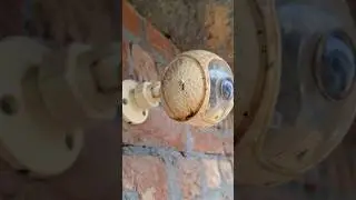 Care cam wifi camera | Care cam | Care cam camera #shorts #shortsfeed