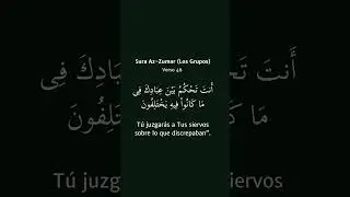 Al-lah juzgar&aacute; entre todos - Abdul Basit Abdul Samad | Traducci&oacute;n Espa&ntilde;ol Latino