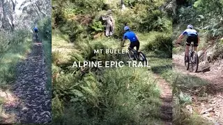This track is permanently closed... (Alpine Epic Trail, Mt Buller)