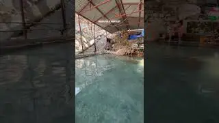 Must go place ; natural therapy
