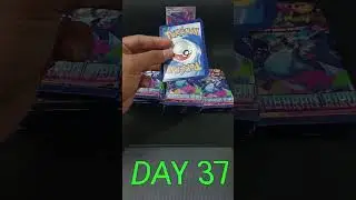 Day 37 Pack Opening Pokemon TCG Kobaran Biru Indonesia | #pokemontcg #pok&eacute;monindonesia #pokemoncards