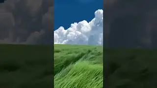 wind force