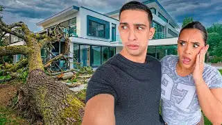 На наш дом упало дерево...