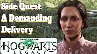 Hogwarts Legacy Guide Side Quest A Demanding Delivery