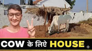 COW KE LIYA HOUSE 🏠🏡
