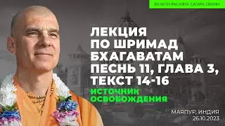 Источник Освобождения. Шримад-Бхагаватам 11.3.14-16. Маяпур 26.10.2023 | Бхакти Расаяна Сагара Свами