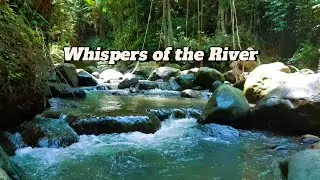 Whispers of the River | Relaxing Stone Stream Sounds for Sleep & Meditation